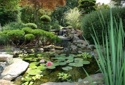 上海别墅花园设计庭院杂乱无章怎样管理-御梵景观
