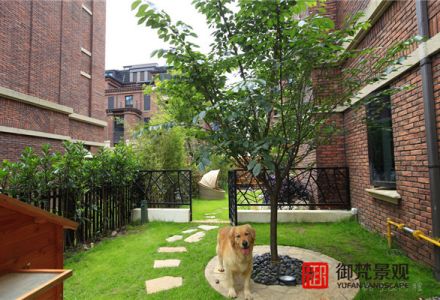 上海花园景观设计寓意美好的景观树